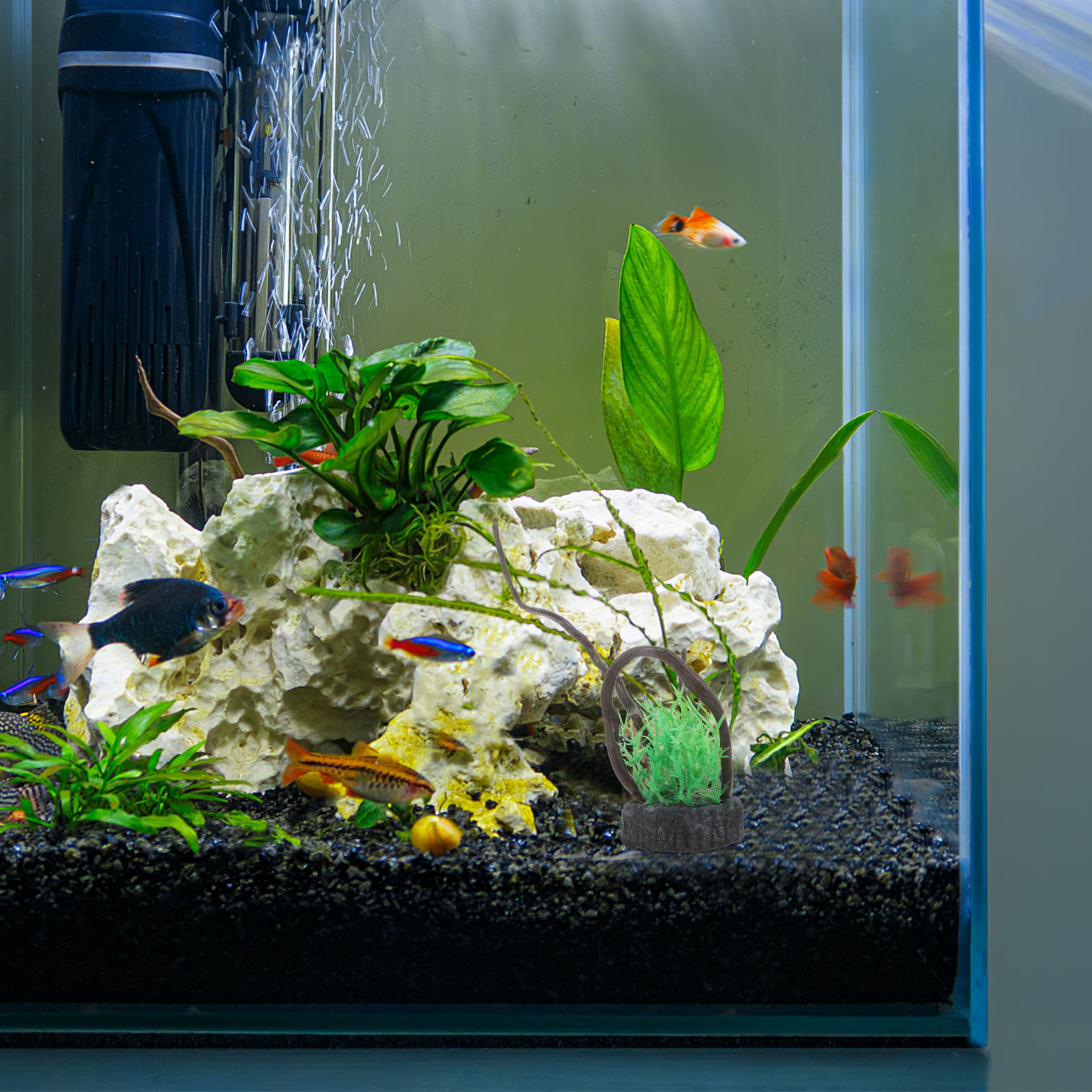Realistisches Set Künstlicher  – Non Planted Aquarium Fish Bewertung und Preis