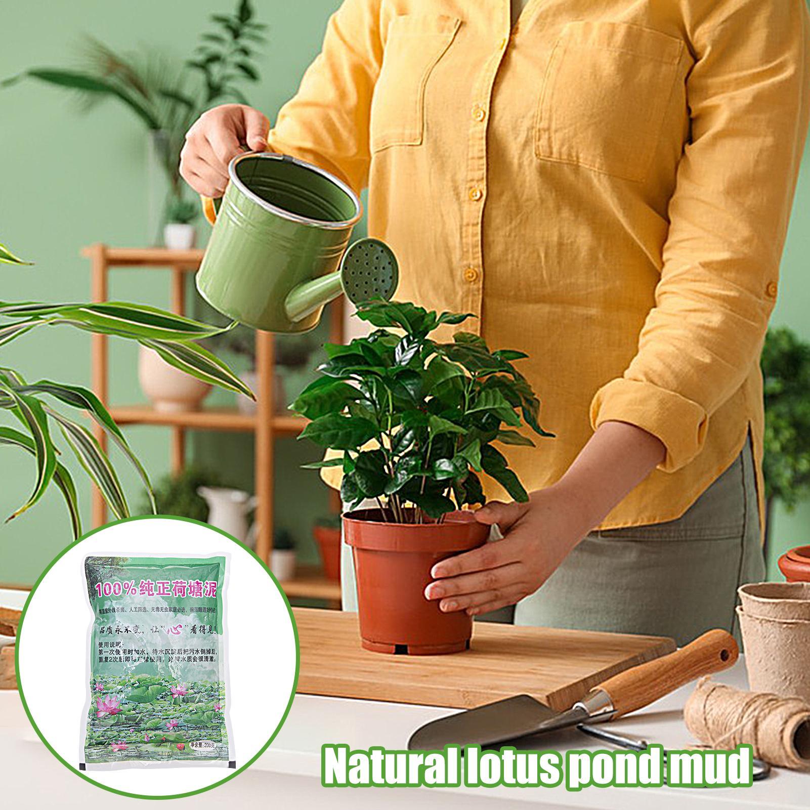 200g/Beutel Aquarium-Erde Natü – Aquarium Planted Seeds Bewertung und Preis
