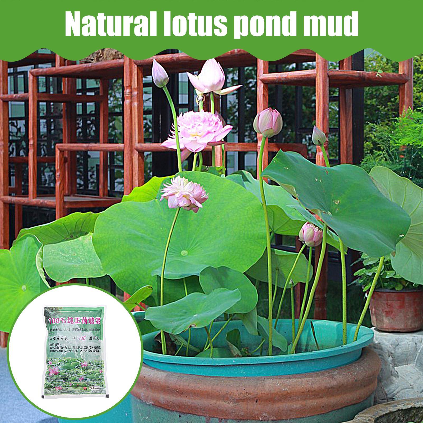 200g/Beutel Aquarium-Erde Natü – Aquarium Planted Seeds Bewertung und Preis