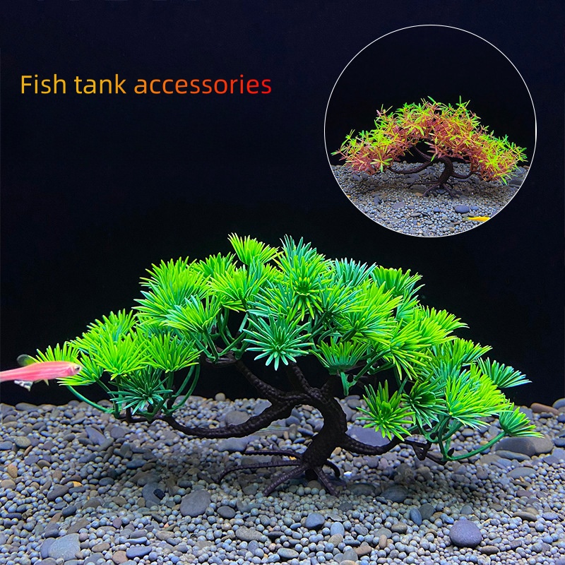 Aquarium-Bonsai-Baum, Pflanze, – Aquarium Planted Seeds Bewertung und Preis