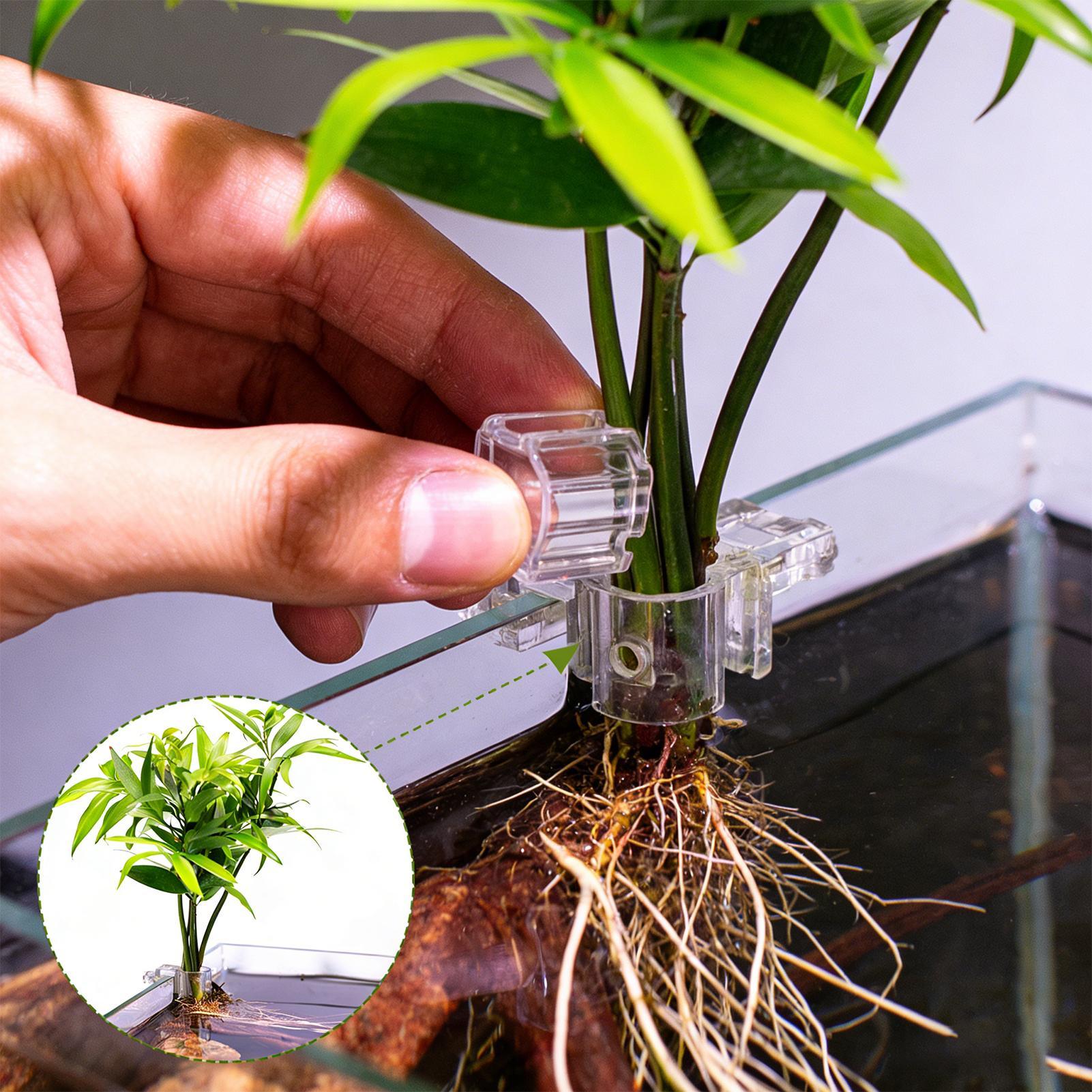 6 Stück Aquarium-Pflanzenhalte – Planted Aquarium Materials Bewertung und Preis