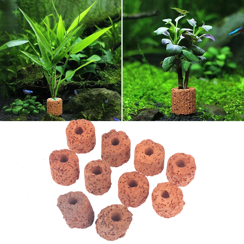 10 Stück Pflanzenringe für Aqu – Aquarium Plant Utensils Bewertung und Preis