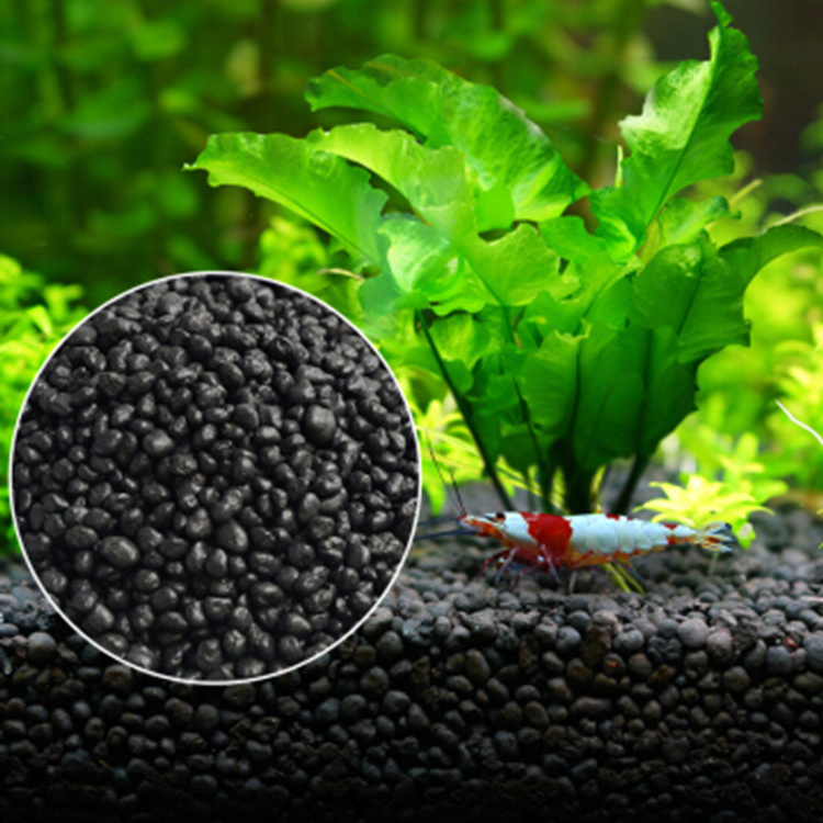 Aquarium Pflanzen Samen Boden  – Aquarium Planted Seeds Bewertung und Preis