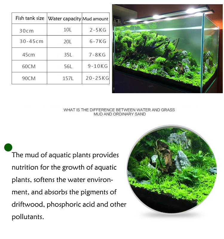 Aquarium Pflanzen Samen Boden  – Aquarium Planted Seeds Bewertung und Preis