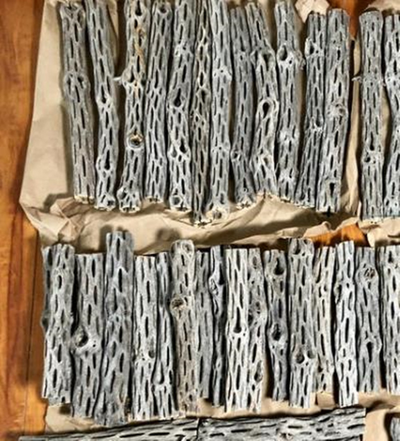 Bio/natürliches Aquarium Choll – Aquarium Planted Seeds Bewertung und Preis