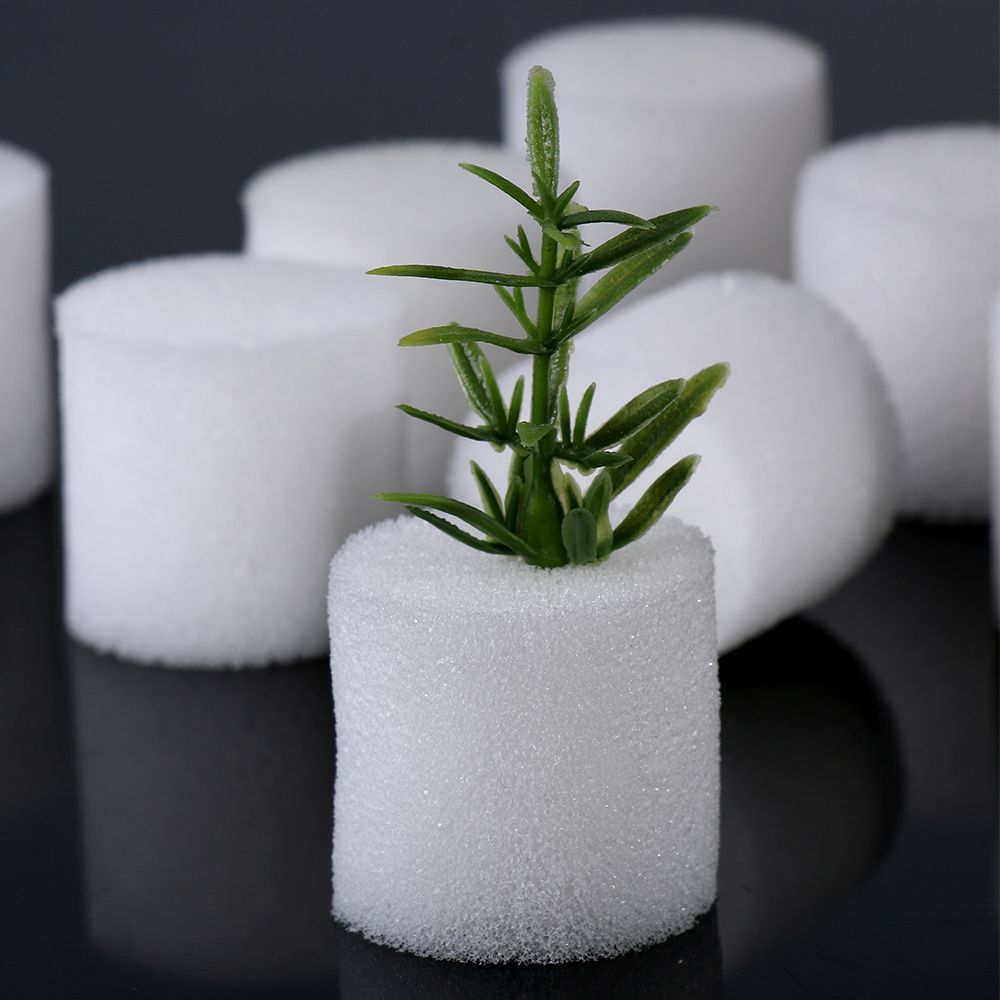 10/50 stücke Durable Garten Li – Aquarium Planted Seeds Bewertung und Preis