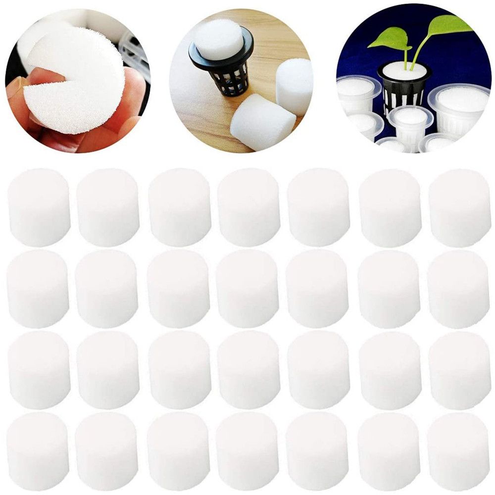 10/50 stücke Durable Garten Li – Aquarium Planted Seeds Bewertung und Preis