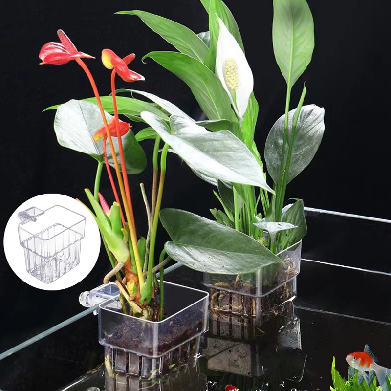 Multifunktion ale Fisch Aquari – Aquarium Plant Grass Bewertung und Preis