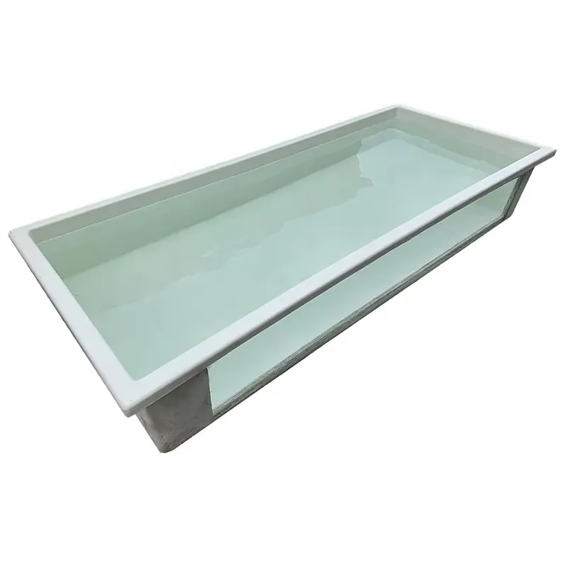 Lebende Pflanzen für Aquarien  – Aquarium Planted Seeds Bewertung und Preis