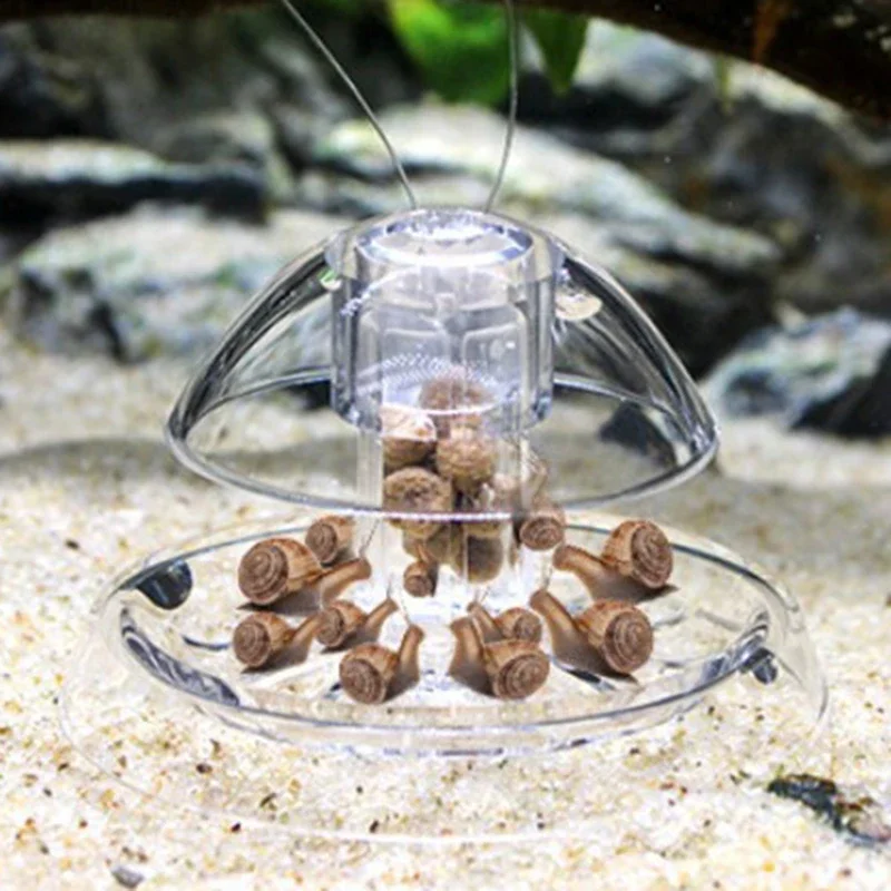 1 Stück Aquarium-Reiniger Schn – Aquarium Plant Utensils Bewertung und Preis