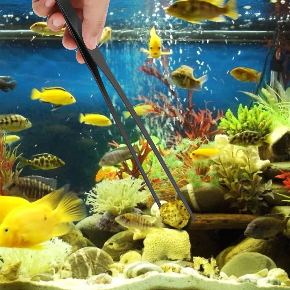 Edelstahl-Aquarium-Pinzette, R – Non Planted Aquarium Fish Bewertung und Preis