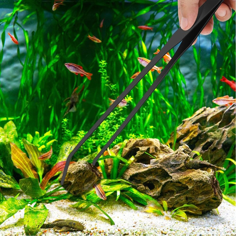Edelstahl-Aquarium-Pinzette, R – Non Planted Aquarium Fish Bewertung und Preis