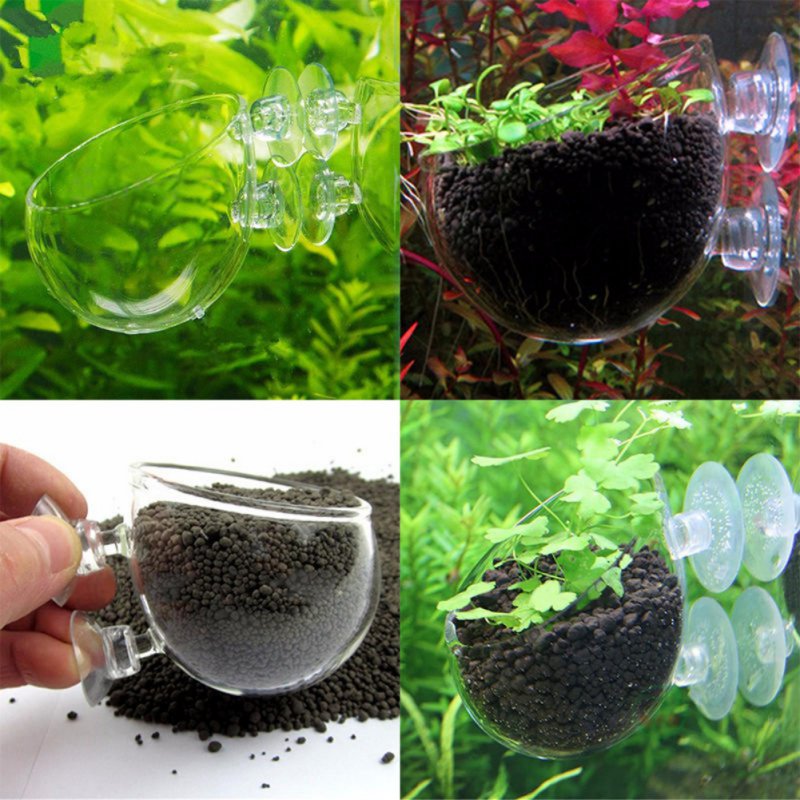 Aquarium hängen Blumentopf Gla – Aquarium Planted Seeds Bewertung und Preis