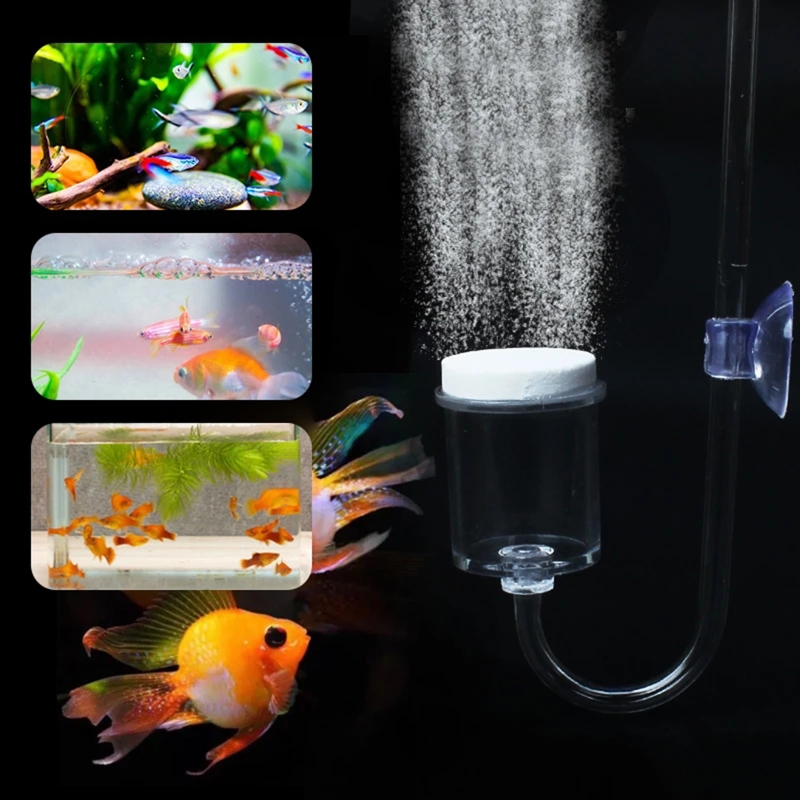 4 stücke Set DIY CO2-Diffusor  – Aquarium Plant Grass Bewertung und Preis