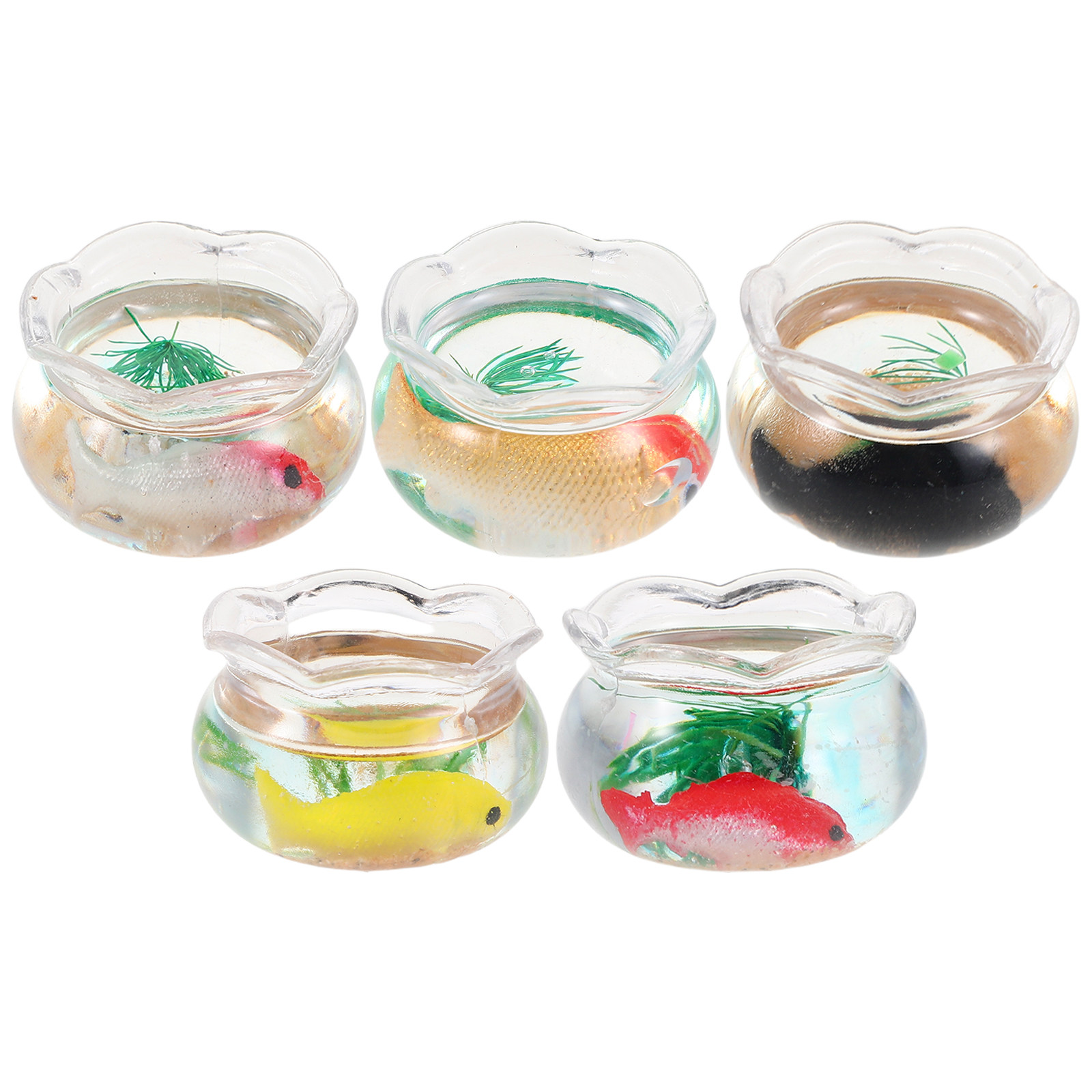 5 Stück Miniatur-Fischbecken,  – Aquarium Planted Plants Bewertung und Preis