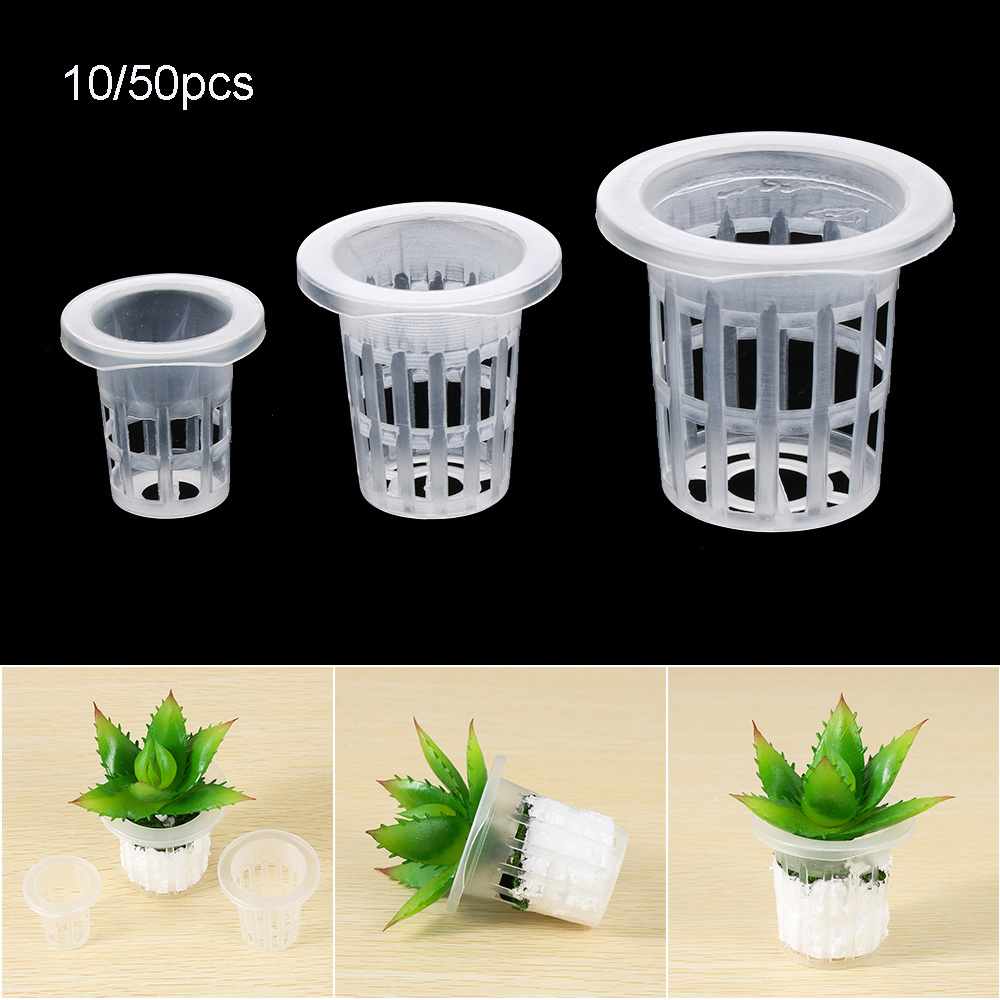 10/50 stücke Garten Liefert Pf – Aquarium Planted Seeds Bewertung und Preis