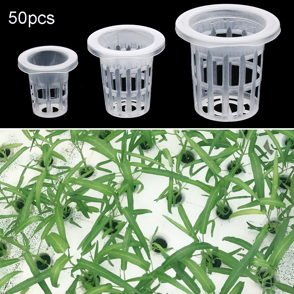 10/50 stücke Garten Liefert Pf – Aquarium Planted Seeds Bewertung und Preis