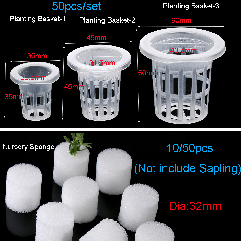 10/50 stücke Garten Liefert Pf – Aquarium Planted Seeds Bewertung und Preis
